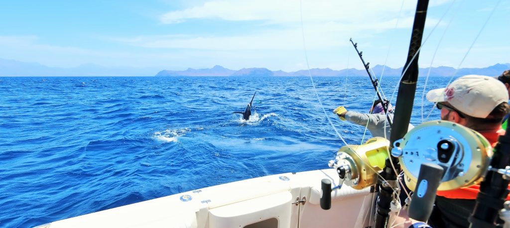 beneficios del pescado