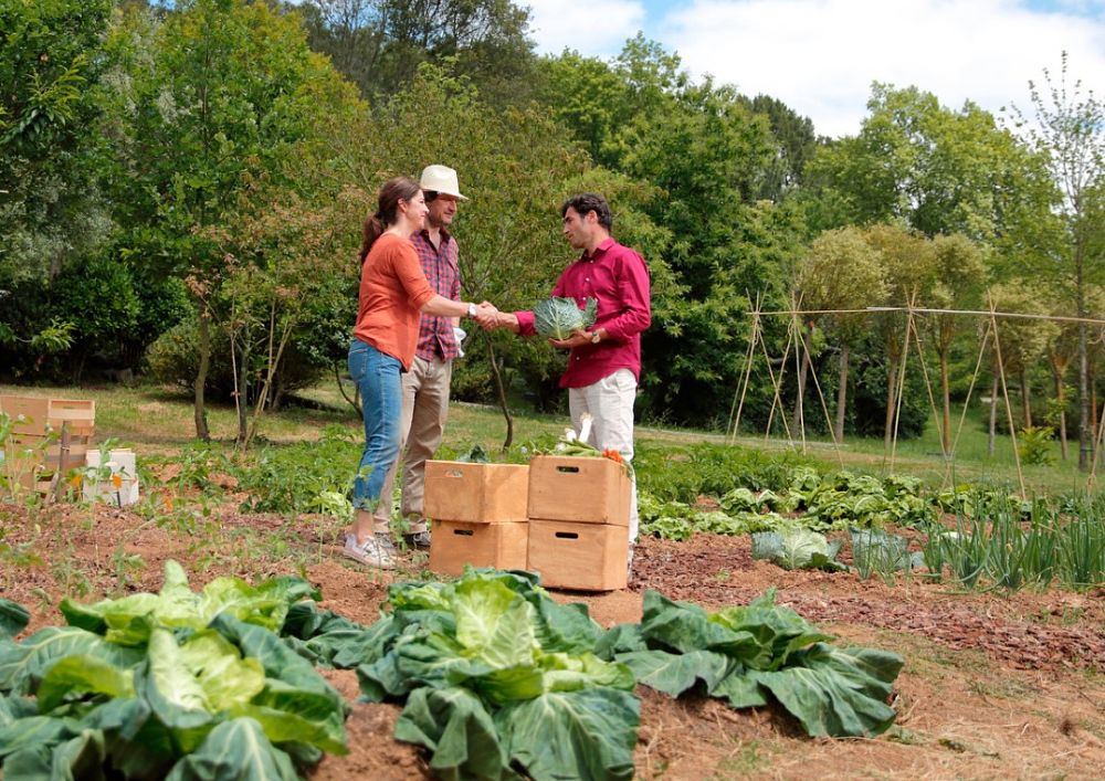 Tipos de proveedores de alimentos