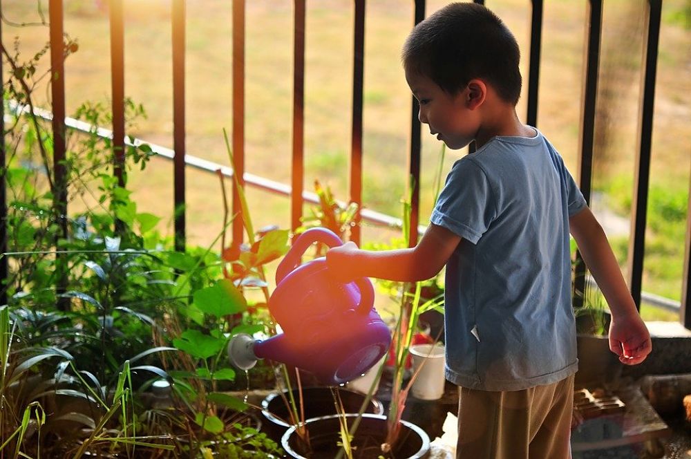 La importancia de la educación ambiental en los niños
