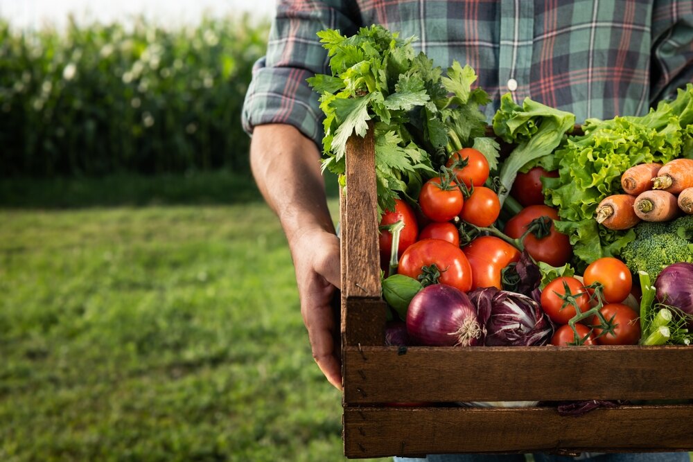 beneficios ambientales de consumir productos ecológicos