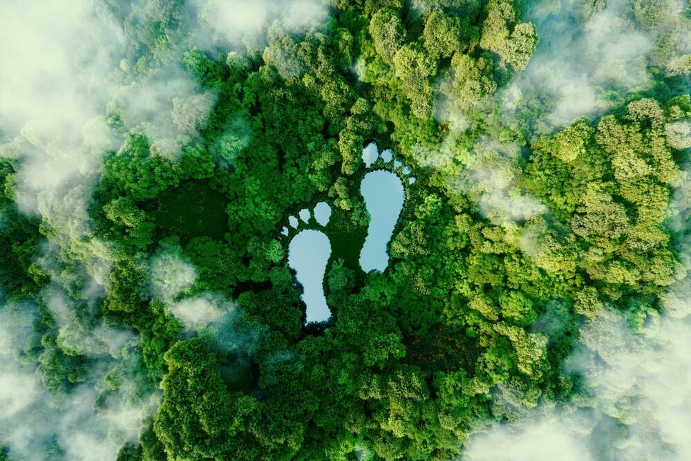 Como calcular la huella ecologica de una empresa