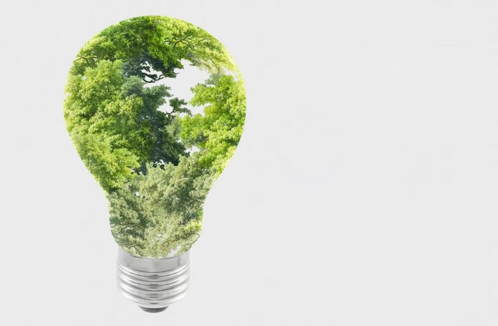 claves para la conservación de la biodiversidad