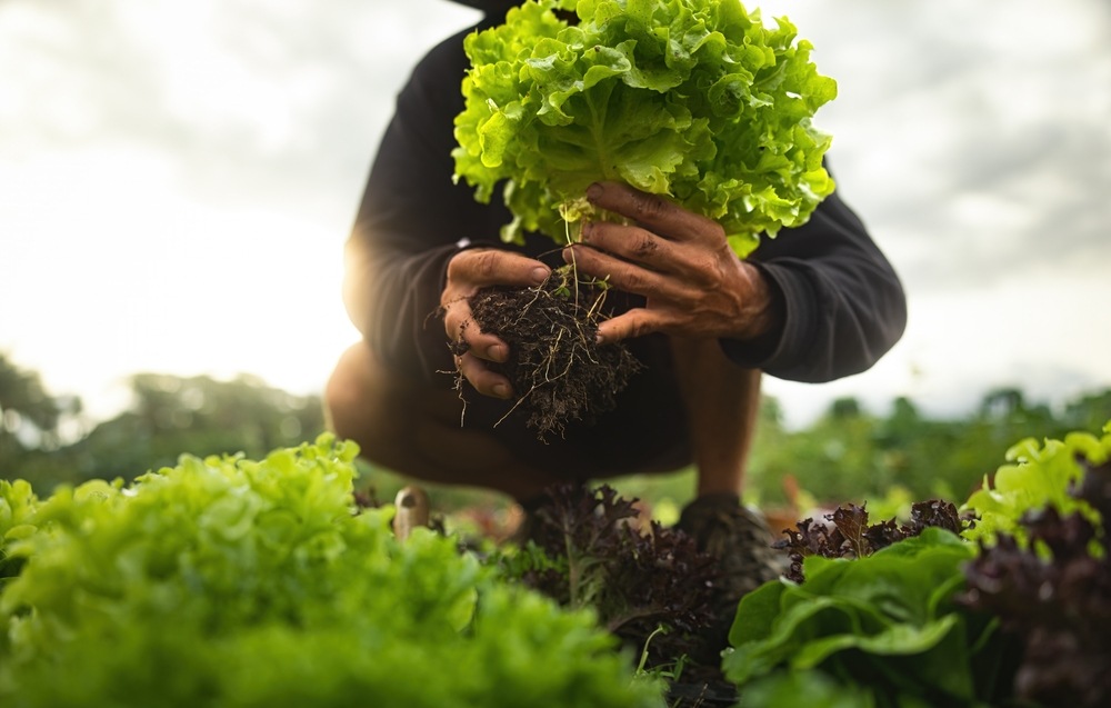 Beneficios de trabajar con proveedores locales