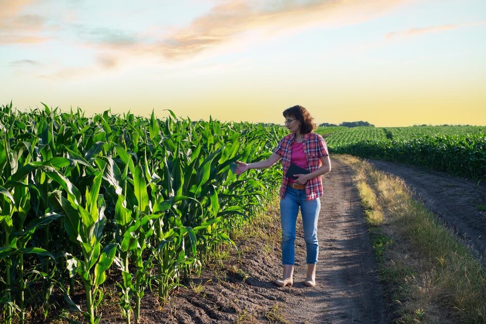 Fomentar el desarrollo rural sostenible