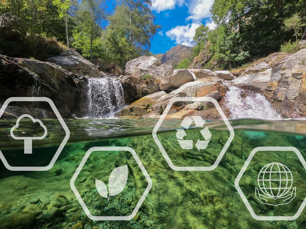 Por que respetar el medio ambiente