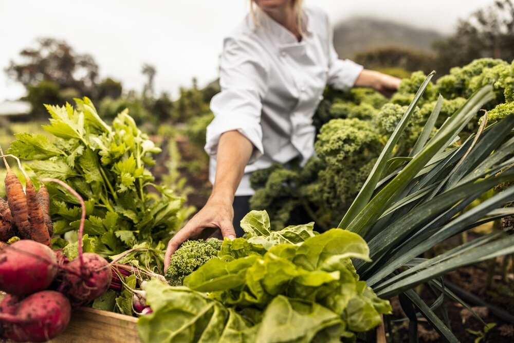 La alimentación del futuro sostenible local y sostenible