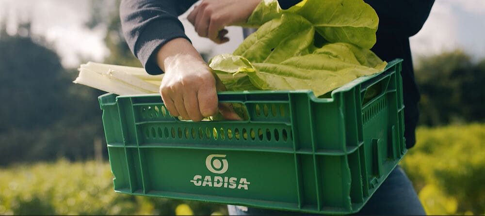 productores locales gadisa