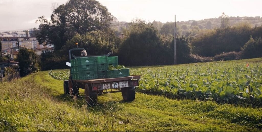 logística en el retail alimentario