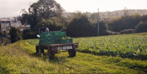 logística en el retail alimentario