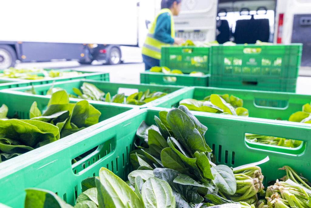 Cómo funciona la distribución alimentaria en un supermercado