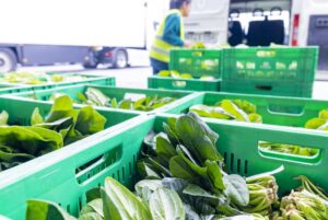 grupo de distribución alimentaria