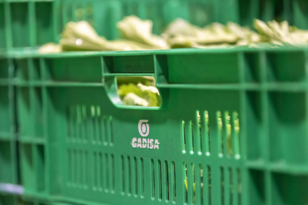 Cómo se garantiza la calidad del producto fresco en un supermercado