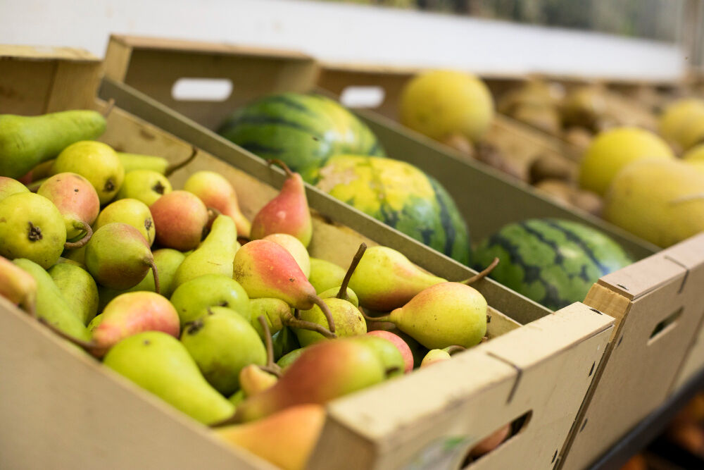 Por qué una flota propia mejora el control de la distribución alimentaria