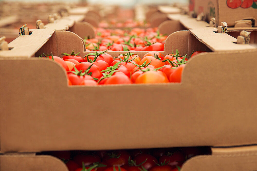 Cómo se organiza la distribución diaria de producto fresco